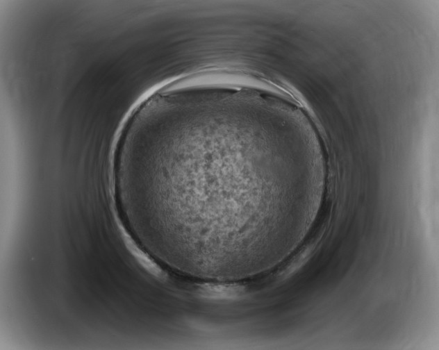 X0000085300795200703091431