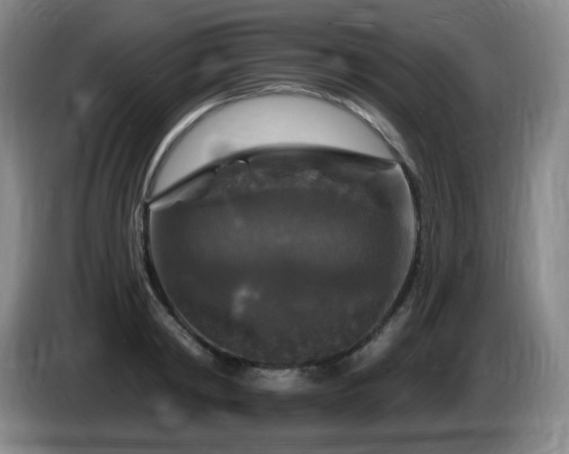 X0000085300798200703091431