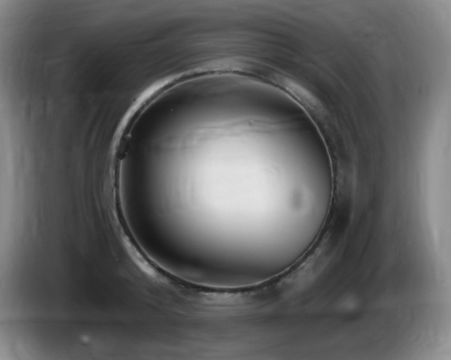 X0000085300800200703091431