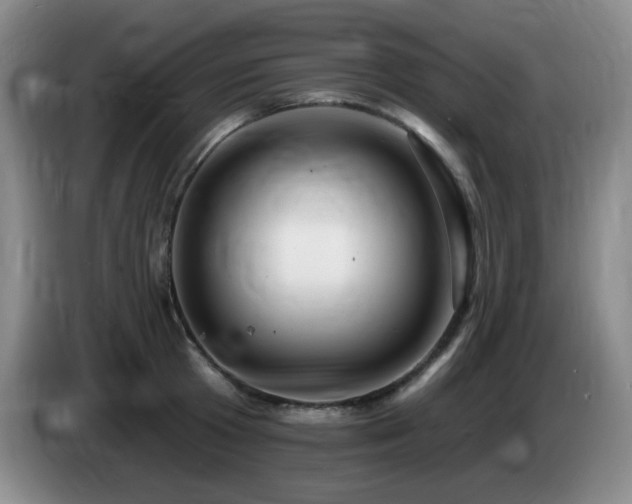 X0000085300801200703091431