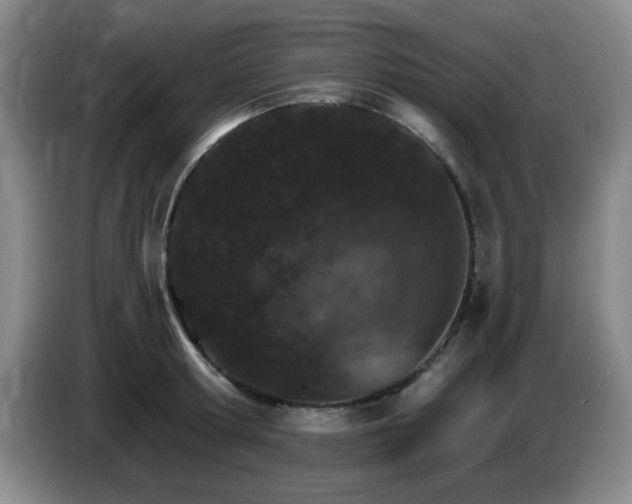 X0000085300802200703091431