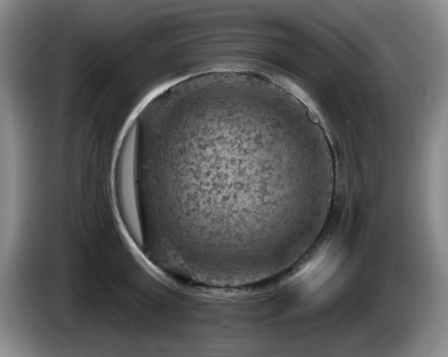 X0000085300803200703091431