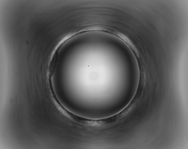 X0000085300805200703091431