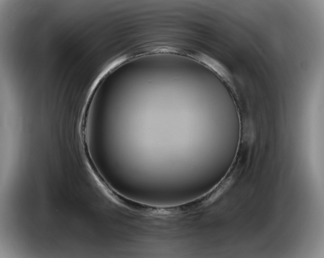 X0000085300806200703091430