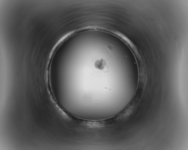 X0000085300807200703091430