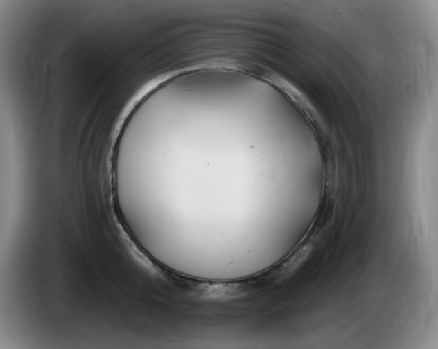 X0000085300808200703091430