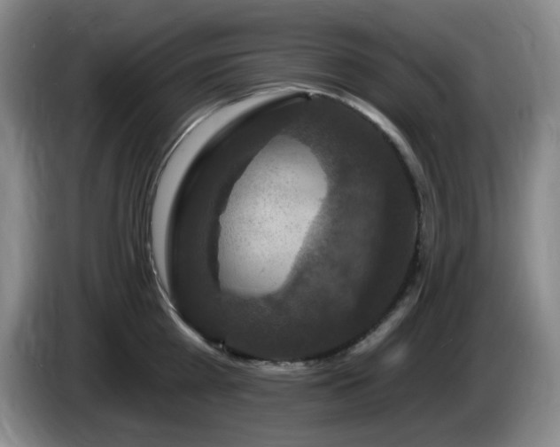 X0000085300809200703091430