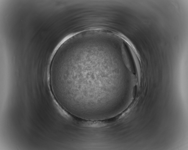 X0000085300811200703091430