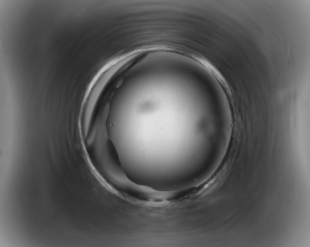 X0000085300813200703091430