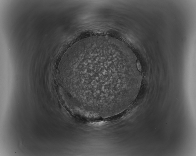 X0000085300817200703091430