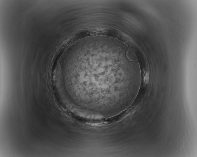 X0000085300819200703091430