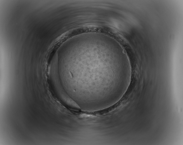 X0000085300821200703091430