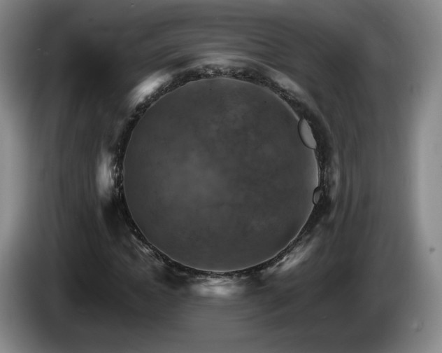 X0000085300822200703091430