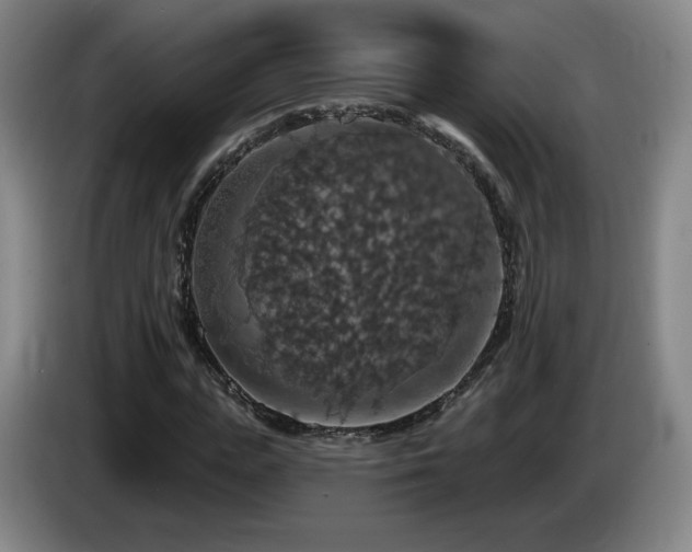 X0000085300823200703091430