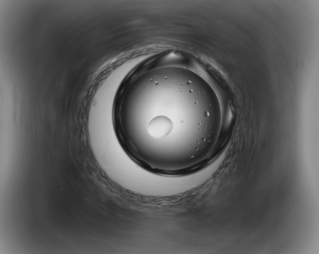 X0000085300824200703091430