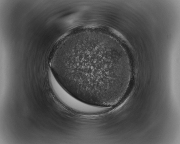 X0000085300825200703091430