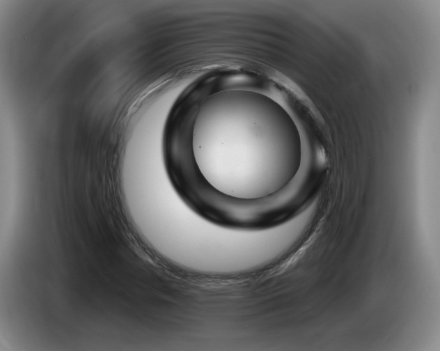 X0000085300826200703091430