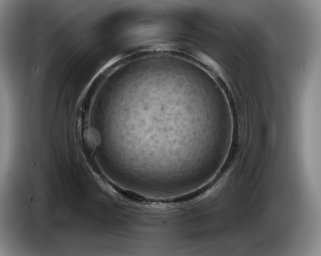 X0000085300827200703091430