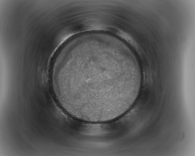 X0000085300828200703091430