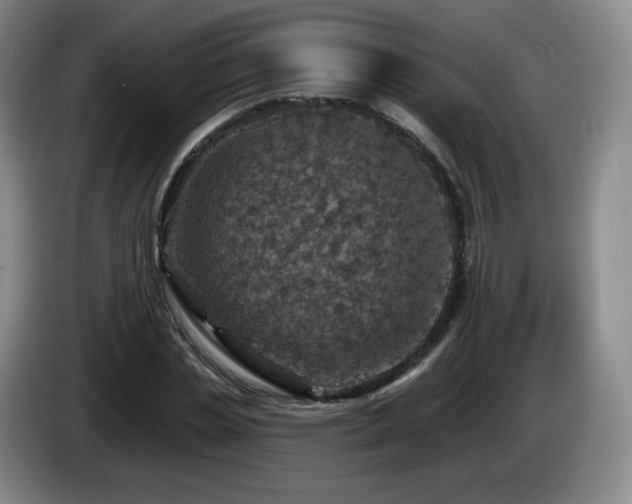 X0000085300829200703091430