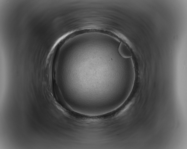 X0000085300830200703091430