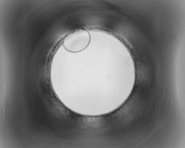 X0000085300832200703091430