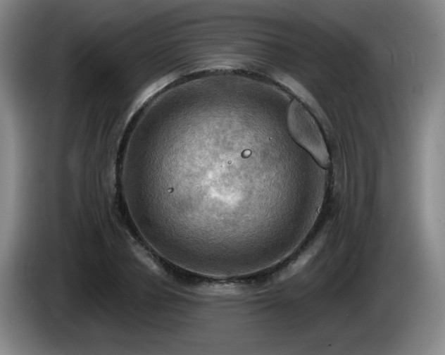 X0000085300834200703091430