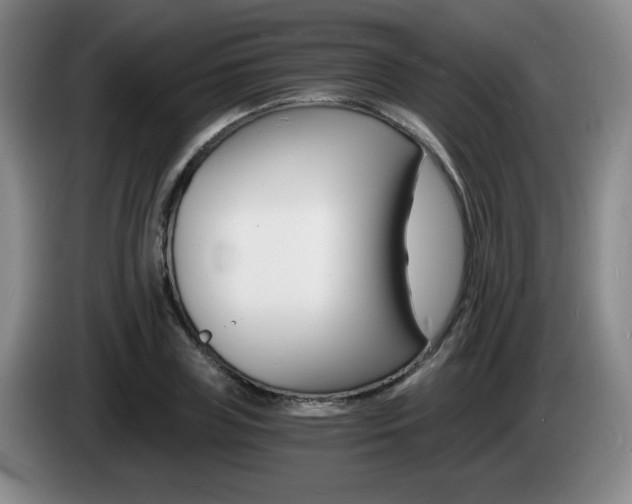 X0000085300835200703091430