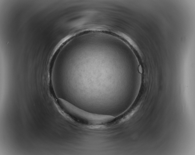 X0000085300837200703091430