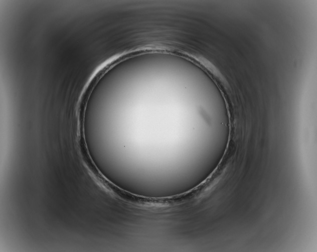 X0000085300838200703091430