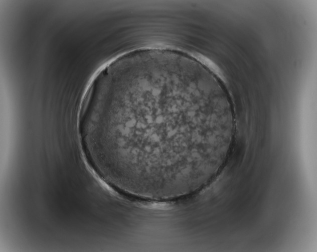 X0000085300839200703091430