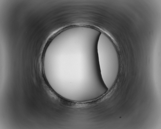 X0000085300840200703091430