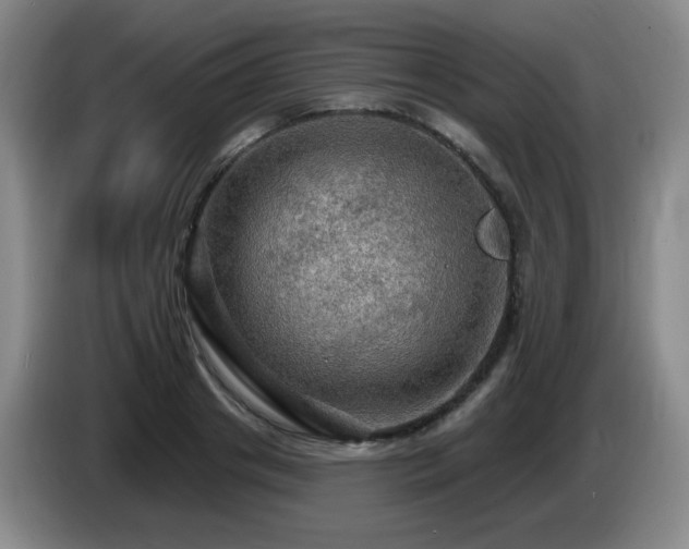 X0000085300841200703091430