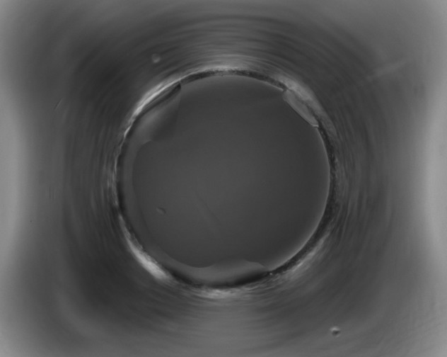 X0000085300842200703091430