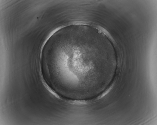 X0000085300844200703091430