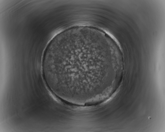 X0000085300845200703091430