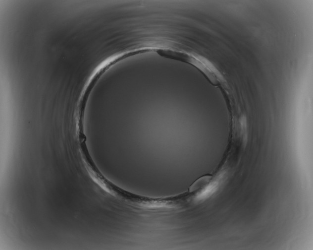 X0000085300846200703091430