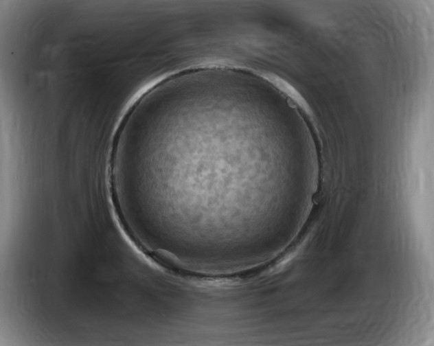 X0000085300847200703091430