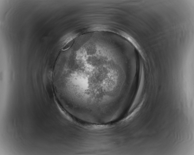 X0000085300849200703091430