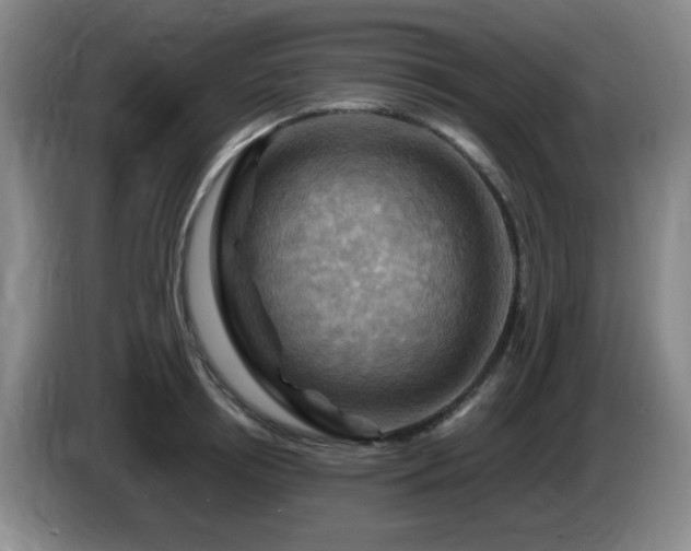 X0000085300850200703091430