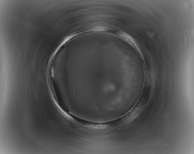 X0000085300851200703091430