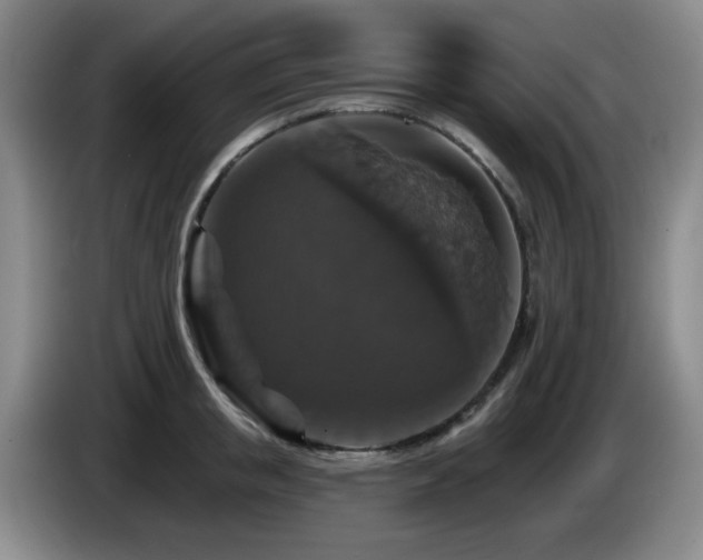 X0000085300853200703091430