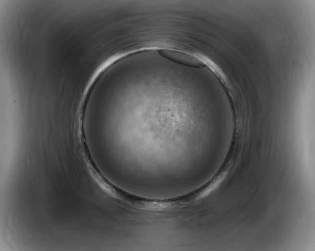 X0000085300854200703091430