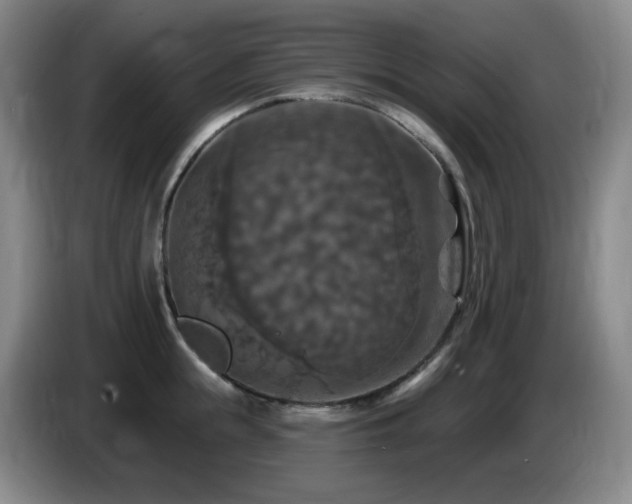 X0000085300855200703091430