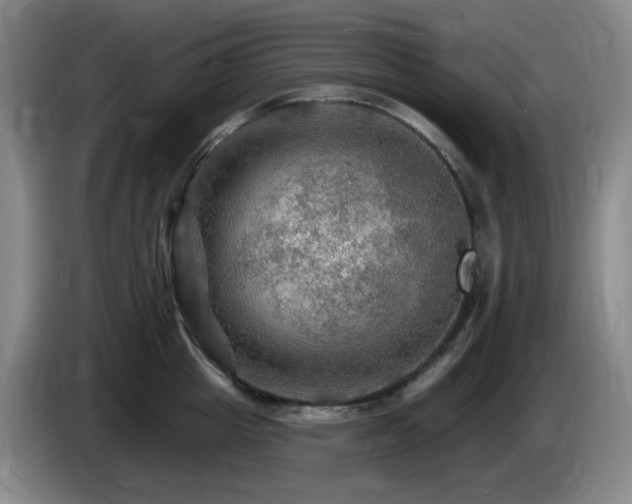 X0000085300857200703091430