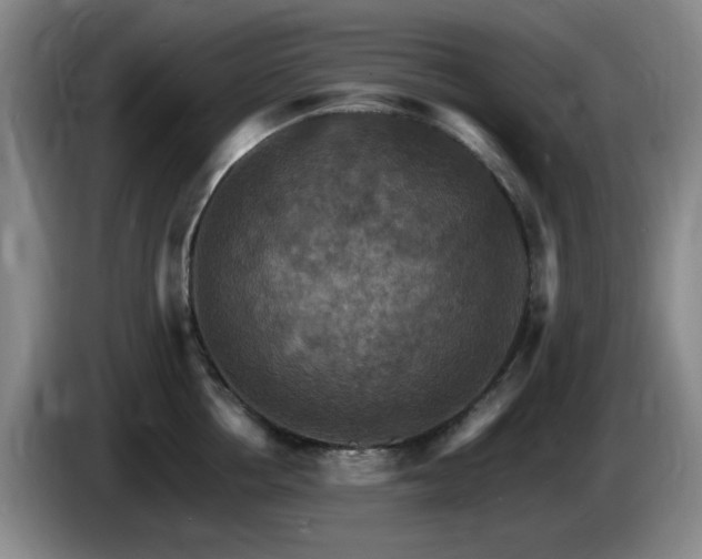 X0000085300858200703091430