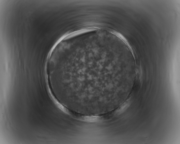 X0000085300859200703091430