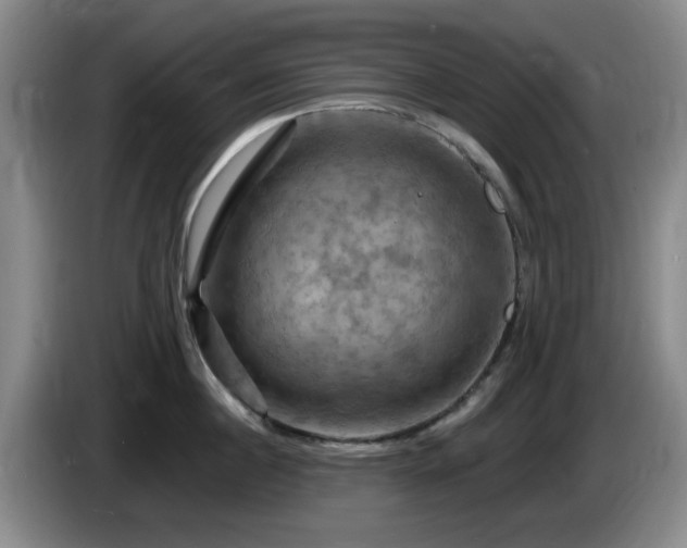 X0000085300860200703091430