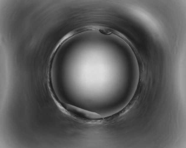 X0000085300861200703091430