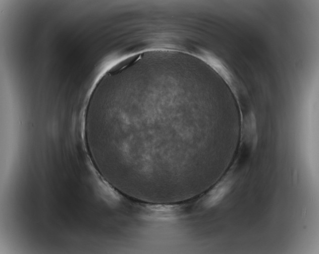 X0000085300862200703091430